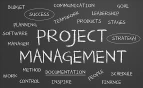 understanding project management